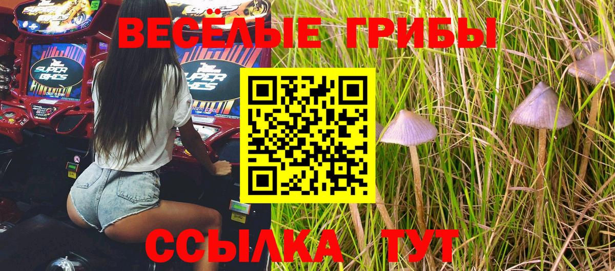 Псилоцибиновые грибы мицелий Сызрань
